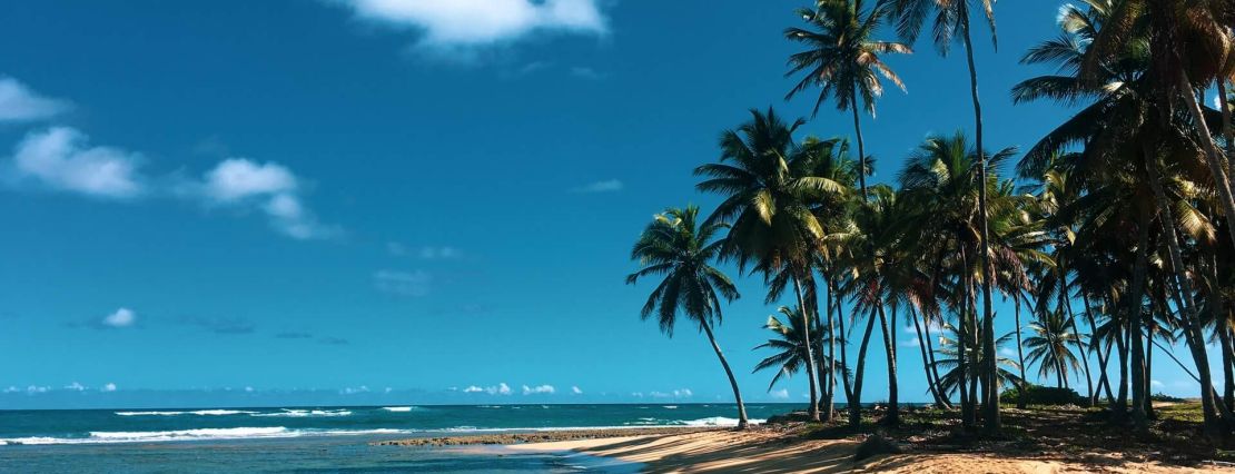 Dominican Republic: 5 Best Things To Do There